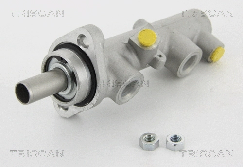 Brake Master Cylinder (8130 13132)