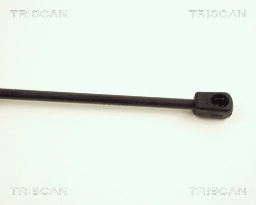 Gas Spring, boot/cargo area