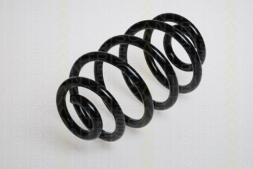 Suspension Spring (8750 24079)