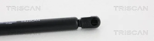 Gas Spring, boot/cargo area