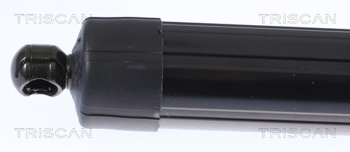 Gas Spring, boot/cargo area