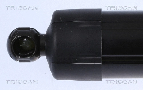 Gas Spring, boot/cargo area