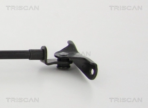 Gas Spring, boot/cargo area