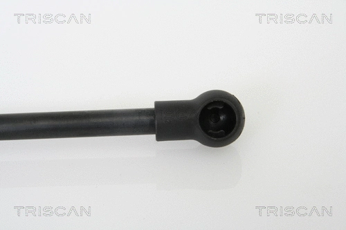 Gas Spring, boot/cargo area