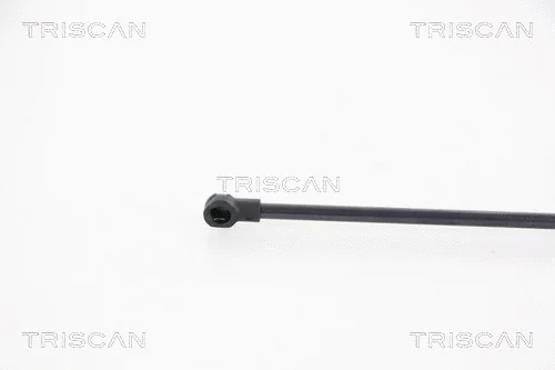 Gas Spring, boot/cargo area