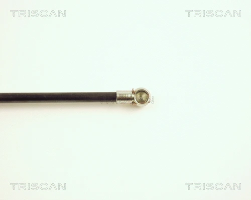 Gas Spring, boot/cargo area