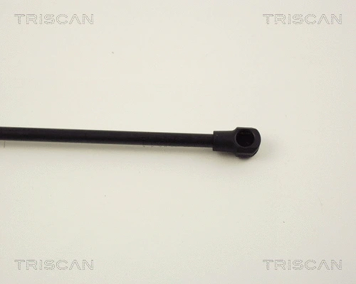 Gas Spring, boot/cargo area