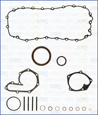Gasket Kit, crankcase (595-6055)