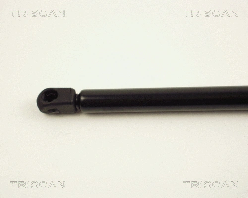 Gas Spring, boot/cargo area