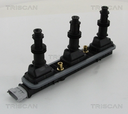 Ignition Coil (8860 24041)