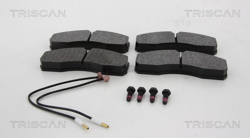 Brake Pad Set, disc brake (8110 10595)
