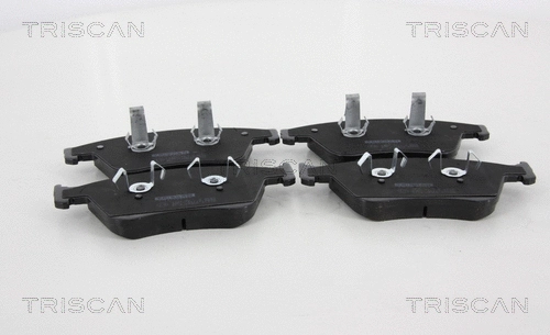 Brake Pad Set, disc brake (8110 23065)