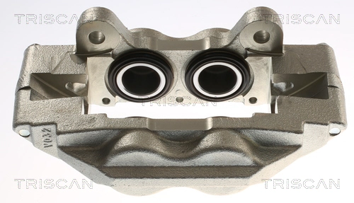 Brake Caliper (8175 13143)