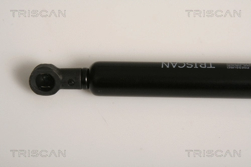 Gas Spring, boot/cargo area