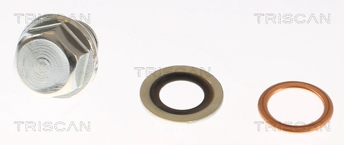 Screw Plug, oil sump (9500 1001-20)