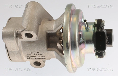 EGR Valve