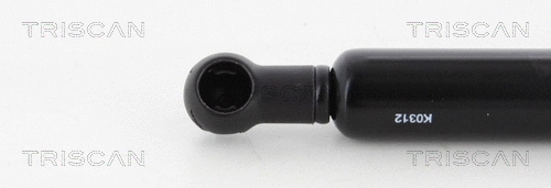 Gas Spring, boot/cargo area