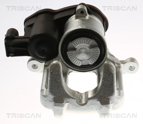 Brake Caliper (8175 11236)