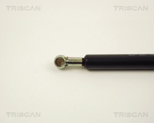 Gas Spring, boot/cargo area