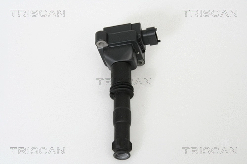 Ignition Coil (8860 20002)
