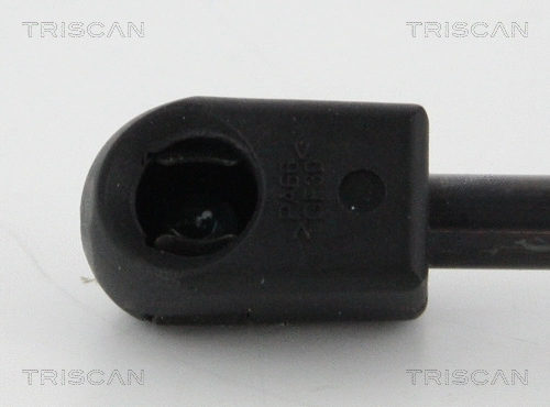 Gas Spring, boot/cargo area