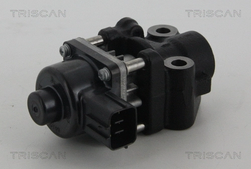 EGR Valve (8813 10013)
