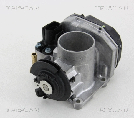 Throttle Body (8820 29012)