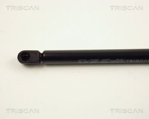 Gas Spring, boot/cargo area
