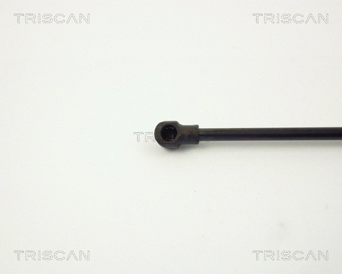 Gas Spring, boot/cargo area