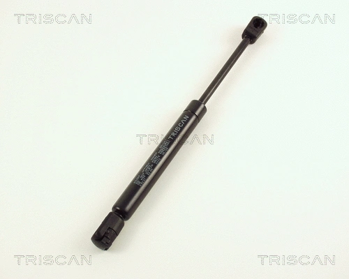 Gas Spring, boot/cargo area (8710 29231)