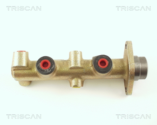 Brake Master Cylinder (8130 16102)