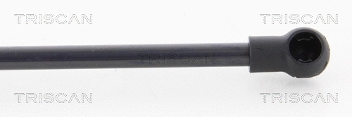 Gas Spring, boot/cargo area