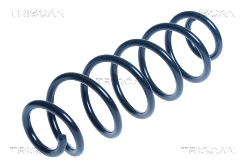 Suspension Spring (8750 29405)