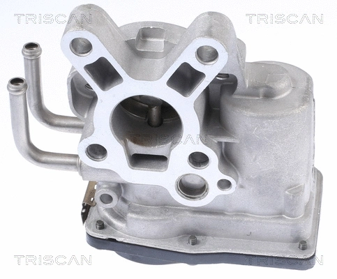 EGR Valve (8813 14010)