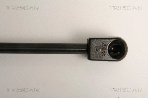 Gas Spring, boot/cargo area