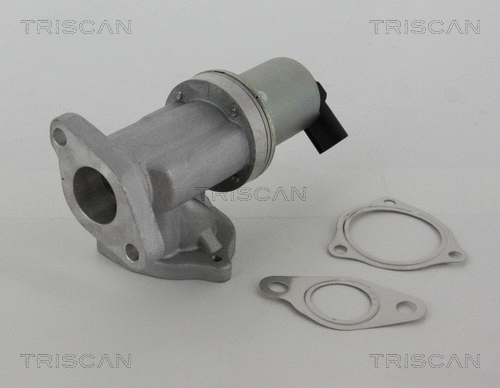 EGR Valve (8813 43002)
