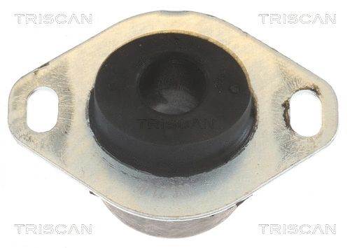 Mounting, engine