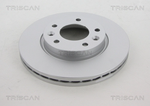 Brake Disc (8120 18109C)