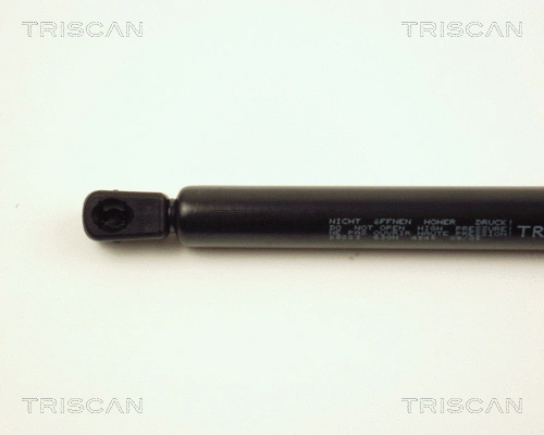 Gas Spring, boot/cargo area
