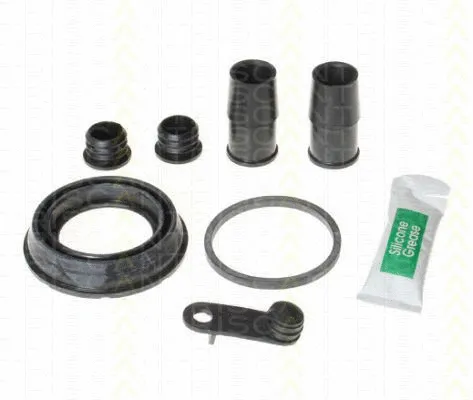 Repair Kit, brake caliper (8170 204611)