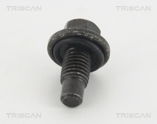Screw Plug, oil sump (95-0980)