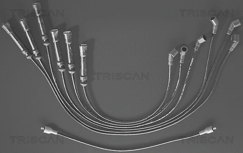 Ignition Cable Kit (8860 4107)