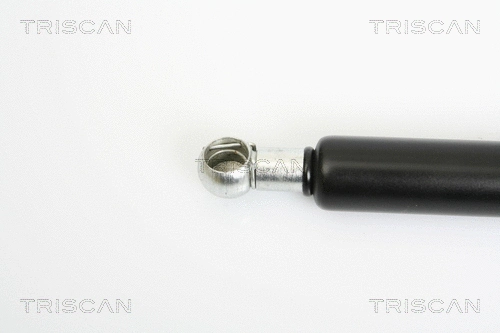 Gas Spring, boot/cargo area