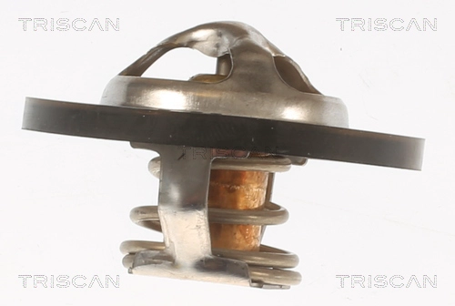 Thermostat, coolant (8620 7995)