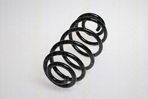 Suspension Spring (8750 6529)
