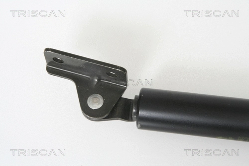 Gas Spring, boot/cargo area