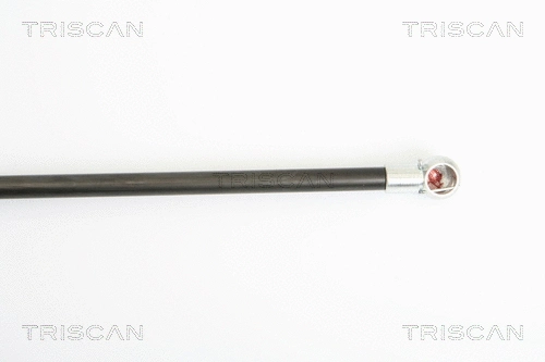 Gas Spring, boot/cargo area