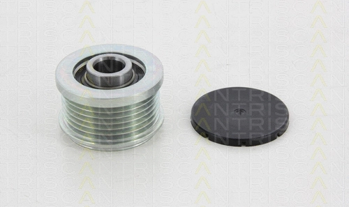 Alternator Freewheel Clutch (8641 164006)