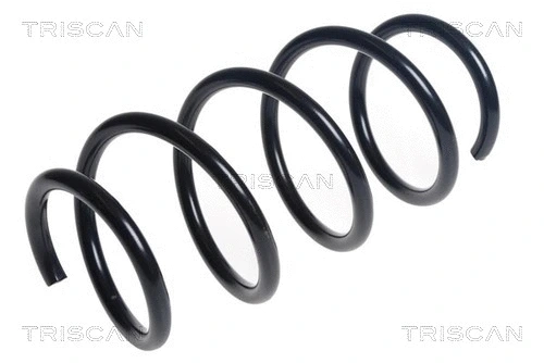 Suspension Spring (8750 23210)