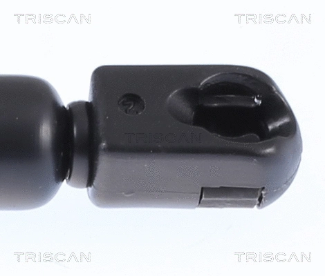 Gas Spring, boot/cargo area